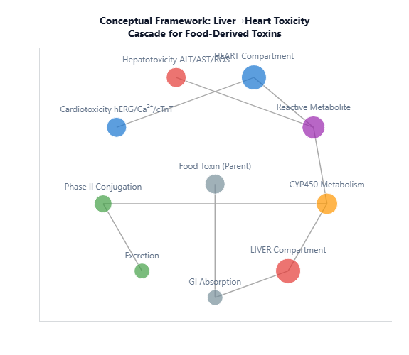 Diagram of the liver–heart conceptual framework generated by Kasvu Discovery
